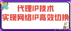 代理IP技術實現網絡IP高效切換
